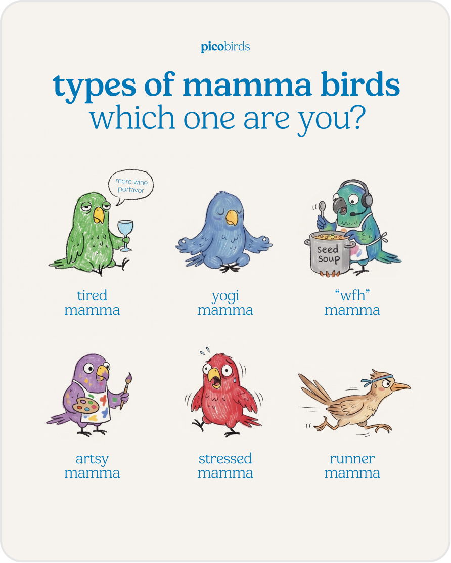 Pico Birds on Instagram