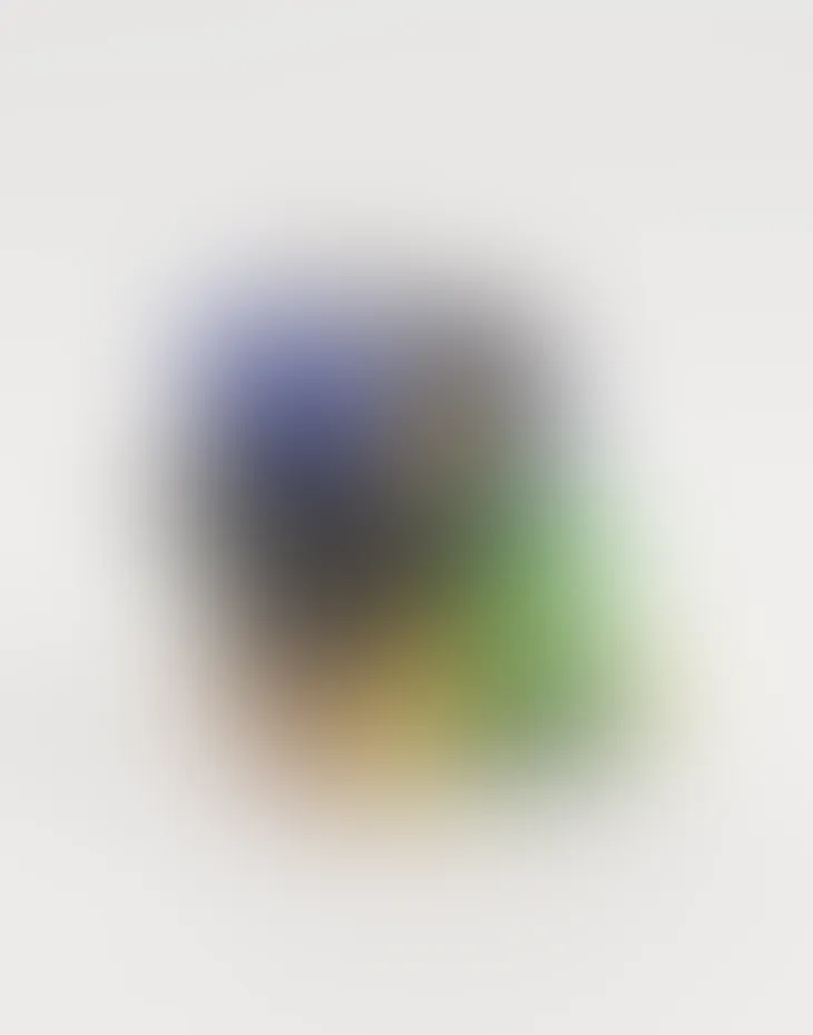 Blurred prototype of the Inca Jay