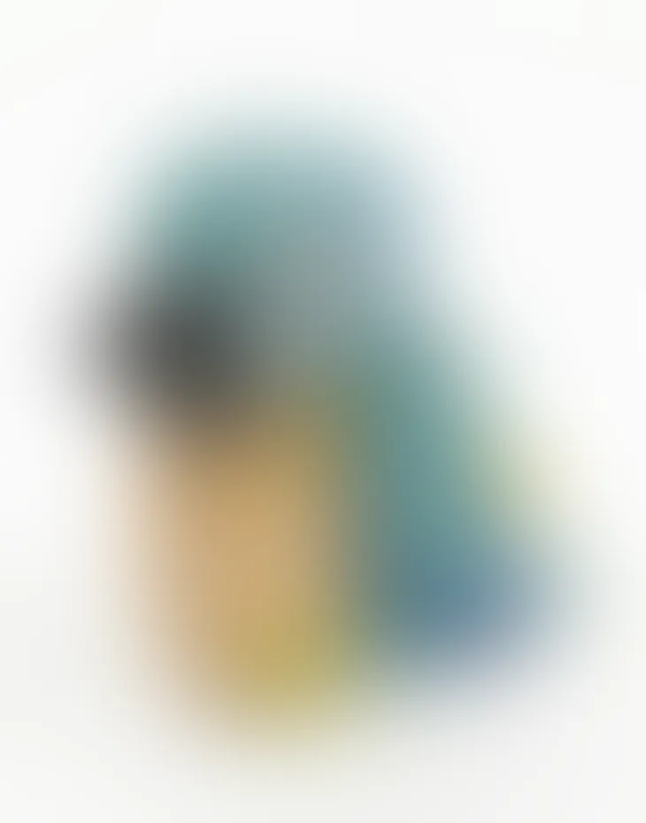 Blurred prototype of the Blue-and-yellow Macaw