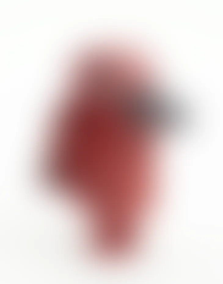 Blurred prototype of the Scarlet Ibis