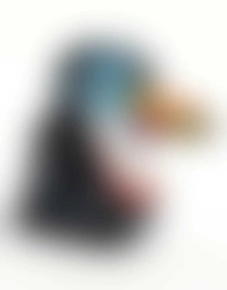 Blurred prototype of the White-throated Toucan