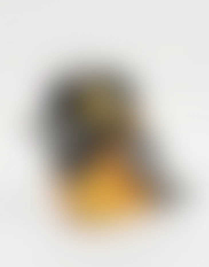 Blurred prototype of the Troupial
